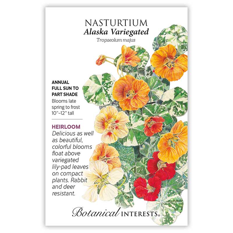 Botanical Interests® SEED PACKET: Nasturtium (Alaska Variegated)