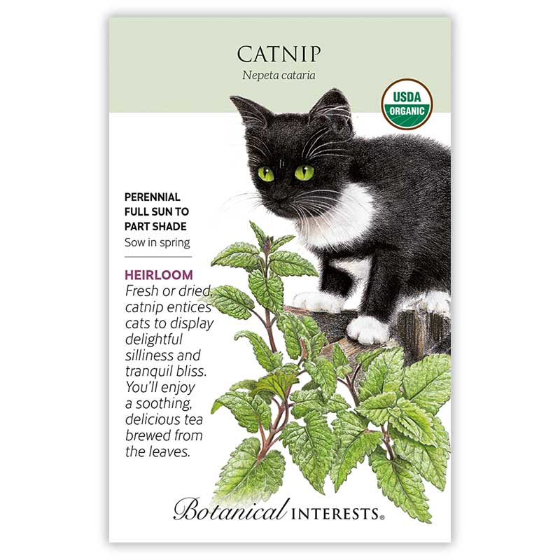 Botanical Interests® SEED PACKET: Cat Lovers Gift Set 😻