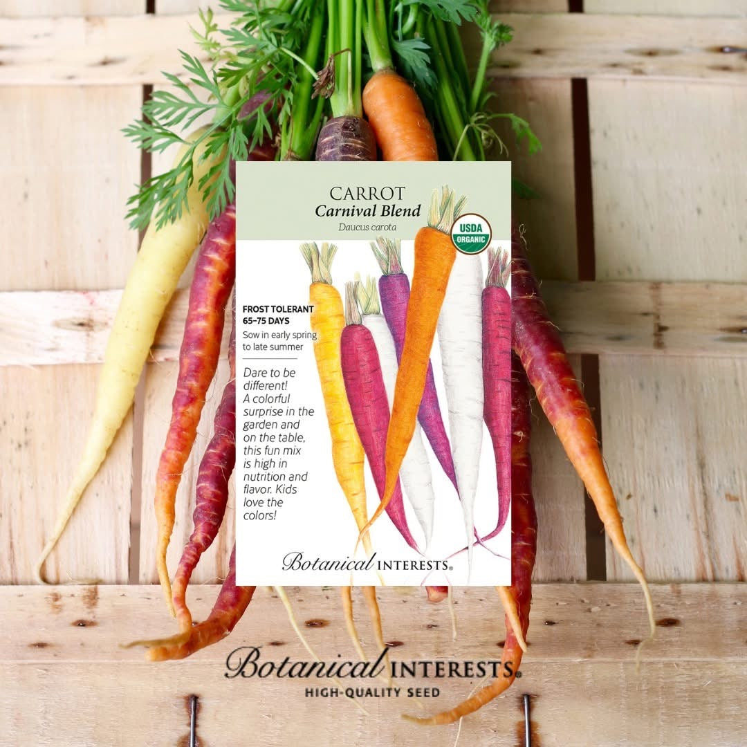 Botanical Interests® SEED PACKET Carrot (Carnival Blend), Organic
