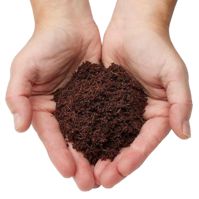 Coconut Coir Brick