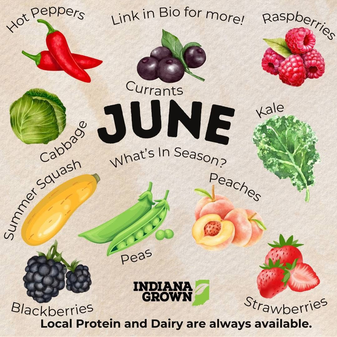 Illustration of fruits and vegetables with text about what's in season in June, including 'Indiana Grown' logo.