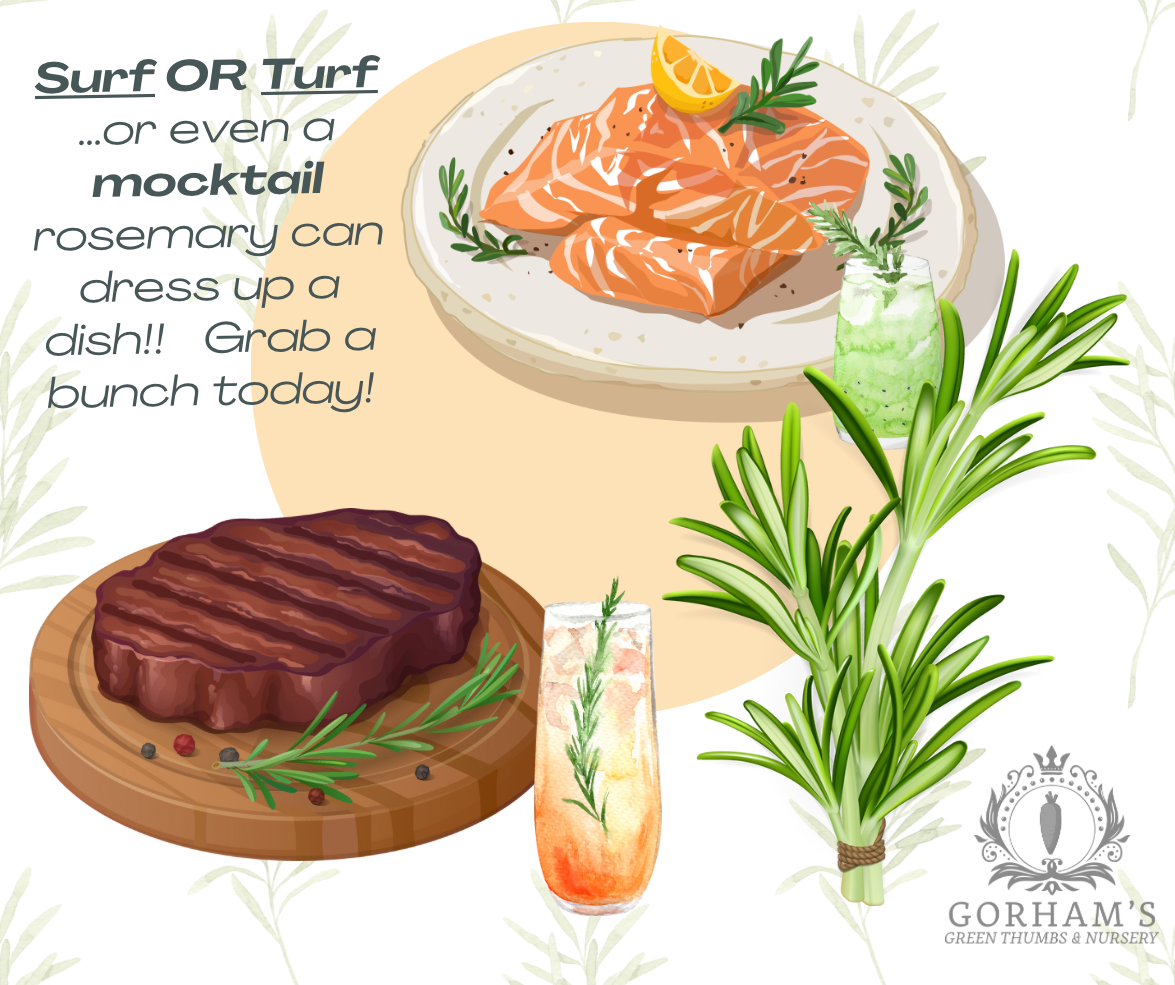 Illustration of salmon, steak, and a cocktail with rosemary, featuring Gorham's branding.