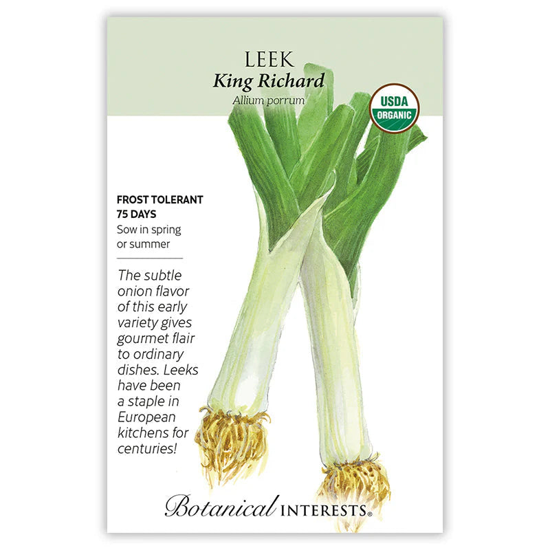 SPRING PLANT: 🪴 Leek, King Richard