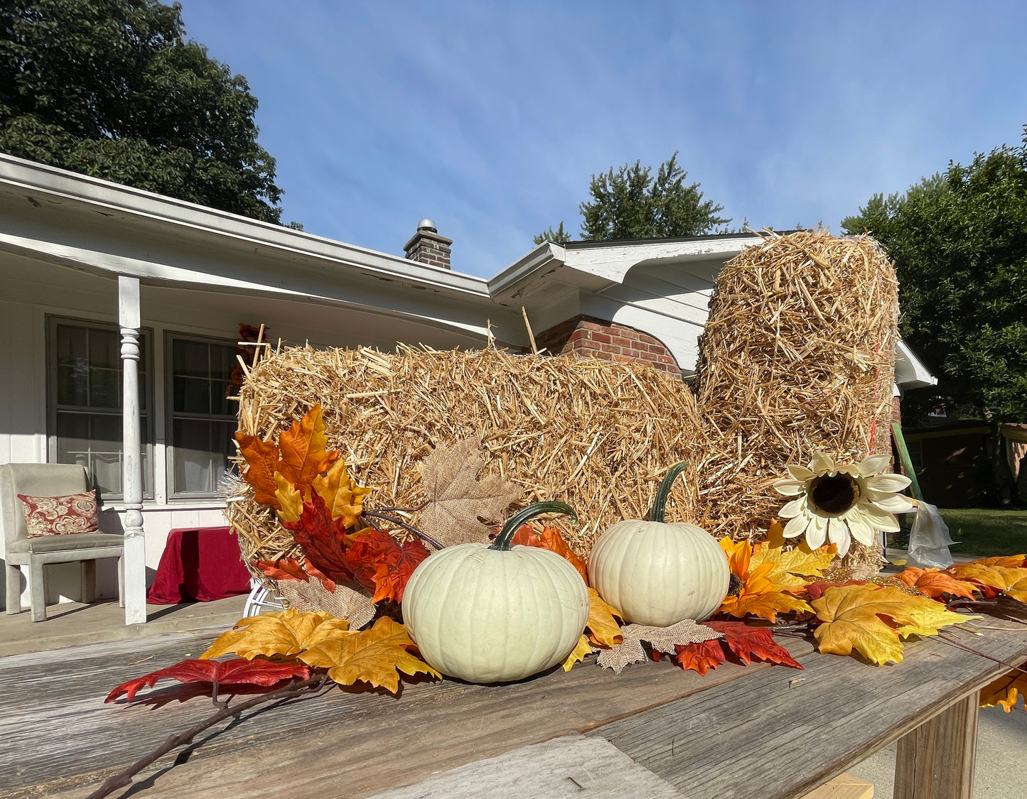 Pumpkins
