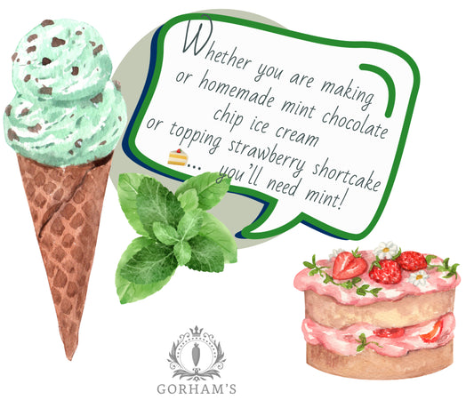 Fresh Mint ✨✨✨✨✨✨✨✨ (Chocolate, Spearmint, & More!)