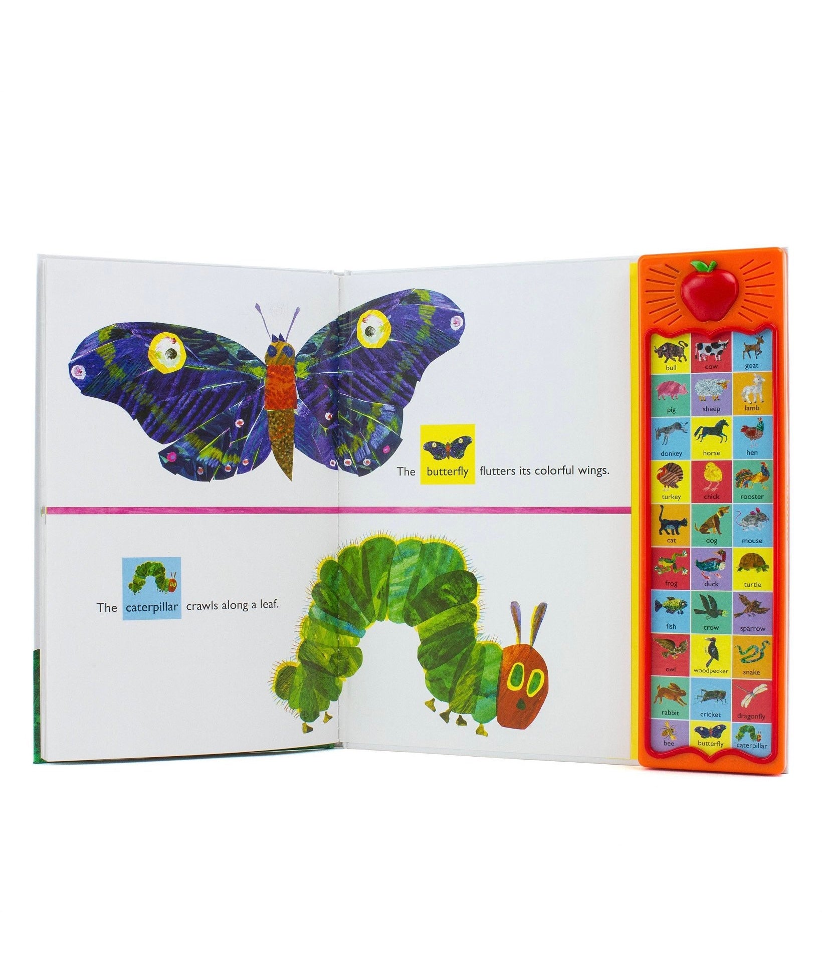 Open book showing illustrations of a butterfly and a caterpillar, with a colorful page on the right.
