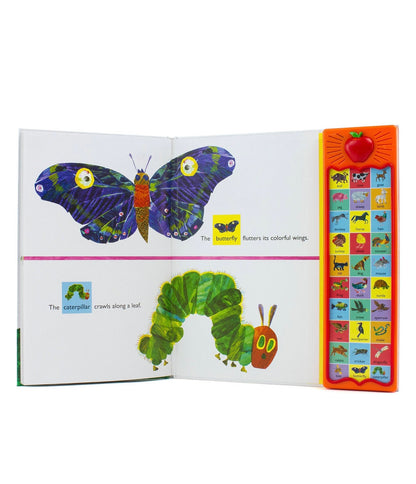 Open book showing illustrations of a butterfly and a caterpillar, with a colorful page on the right.