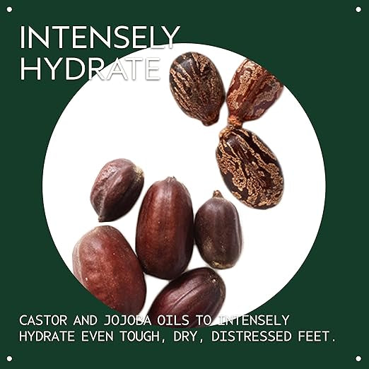 Castor and jojoba seeds with text on a green background