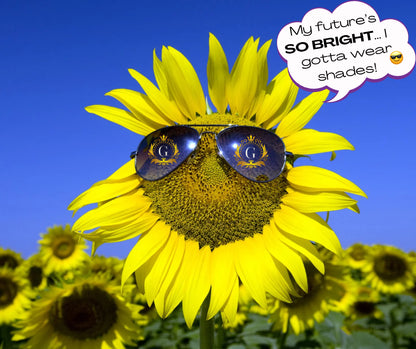 Sunflower wearing sunglasses with a speech bubble saying 'My future's SO BRIGHT... I gotta wear shades!' against a blue sky.
